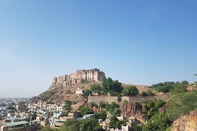 All inclusive Vegetarian Jaipur Food and Heritage Tour - Chai and snacks: the part you’ll remember after the tour