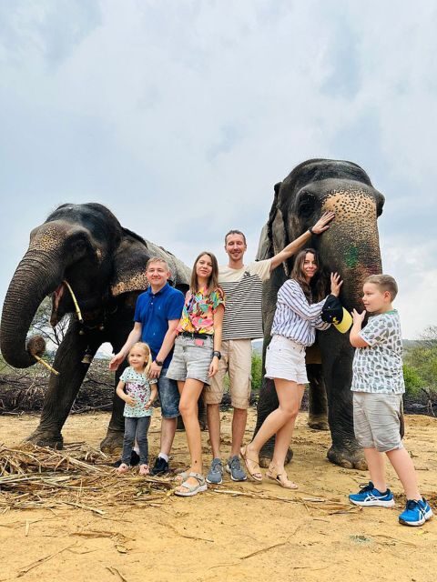 Elephant Sanctuary for Best elephant experience in Jaipur - The On-Site Rhythm: What Happens After You Arrive