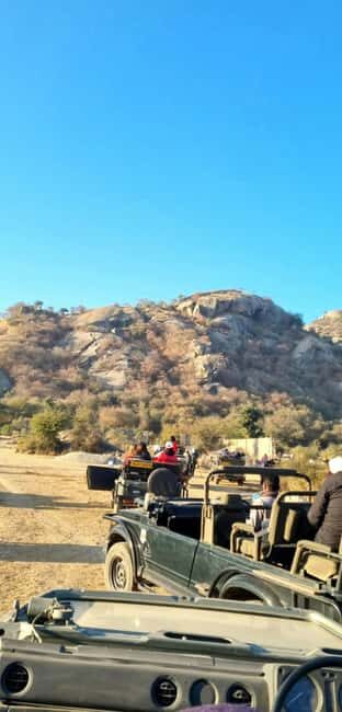 From Jaipur: Sariska National Park Day trip with Safari - Should you book this Sariska tiger safari from Jaipur?