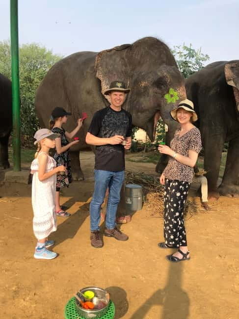 Jaipur: Elephant Interaction Tour - Feeding: the fastest way to earn trust