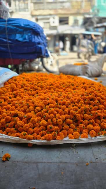 Jaipur: Private Guided Half Day & Full Day Tour in Jaipur - Jagat Shiromani Temple (Lord Krishna) for a calmer pause