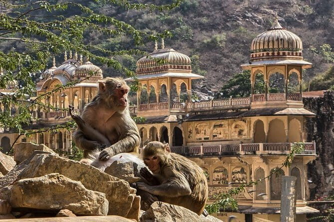 Private Overnight Jaipur City Tour from Delhi - Value and Price: What $134 Per Person Really Buys